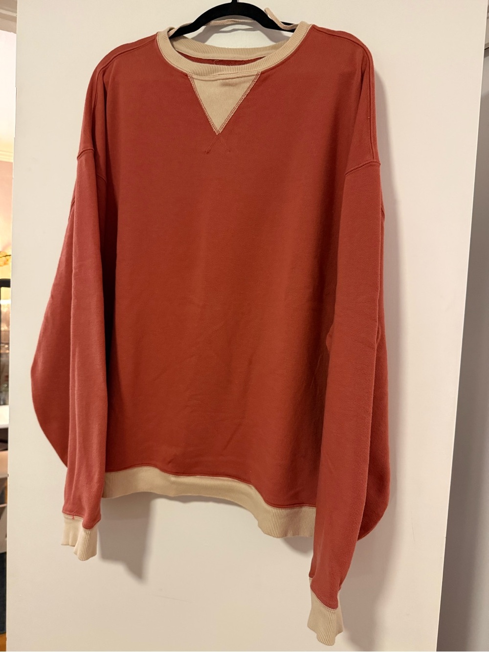 We The Free Classic Crew Colorblock Sweatshirt